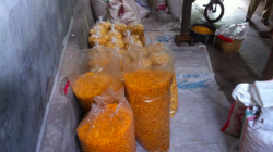 Produksi Emping Jagung Ponjong