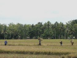 Kami Siap Mewakili D. I. Yogyakarta ke Tingkat Nasional