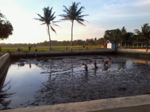 Foto Kolam Yang akan dibangun KSM 2