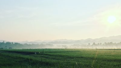 Kawasan Ponjong yang Asri