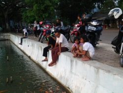 Wisata ” Memberi Makan Ikan”