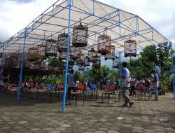 Suasana Kontes Burung Berkicau Ponjong Enterprises