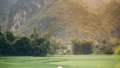 back view of a person standing on a vast green grass field